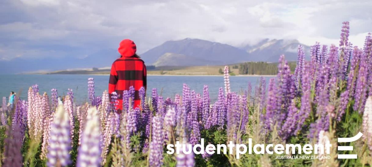Students Arriving in New&nbsp;Zealand